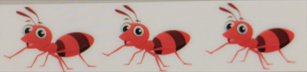 Fire Ants